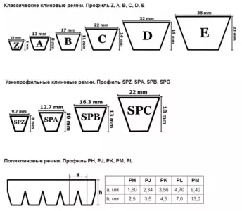 Паси Клинові