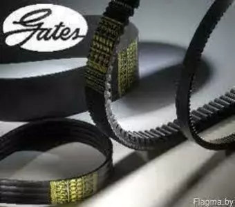 Паси Gates (США)